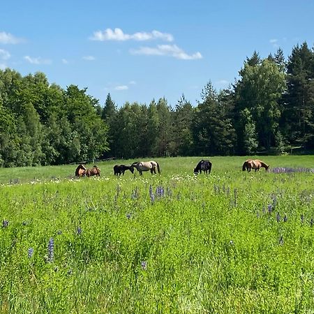 Koziula - Domki I Lesne Spa Na Kaszubach بيزيويدز المظهر الخارجي الصورة