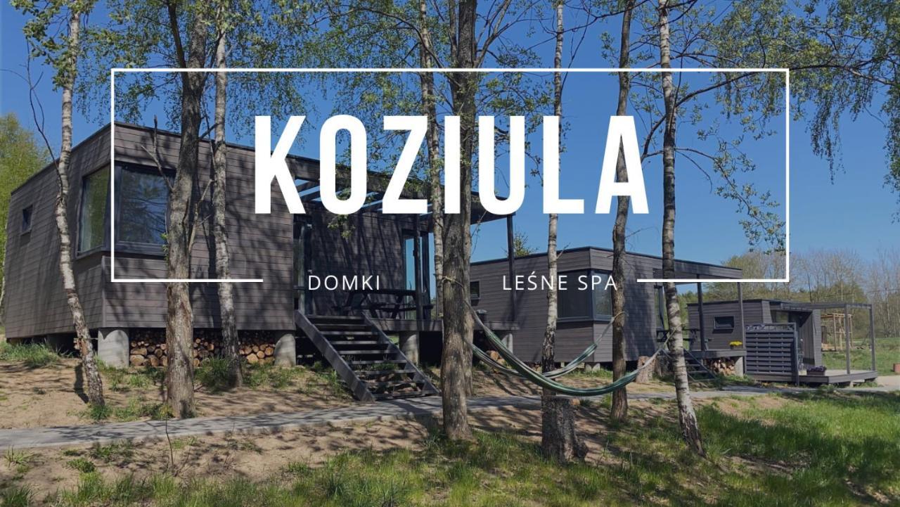 Koziula - Domki I Lesne Spa Na Kaszubach بيزيويدز المظهر الخارجي الصورة
